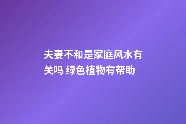夫妻不和是家庭风水有关吗 绿色植物有帮助